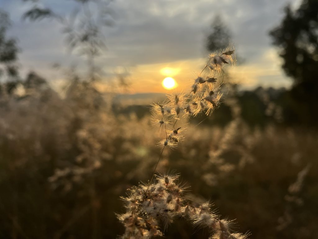 The experience of new beginning is only a way for the mind to feel safe in an environment of wonder beyond words, meaning and logic.