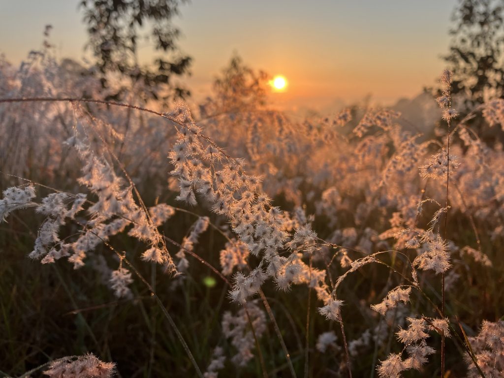 Clarity is the natural quality of wonder.