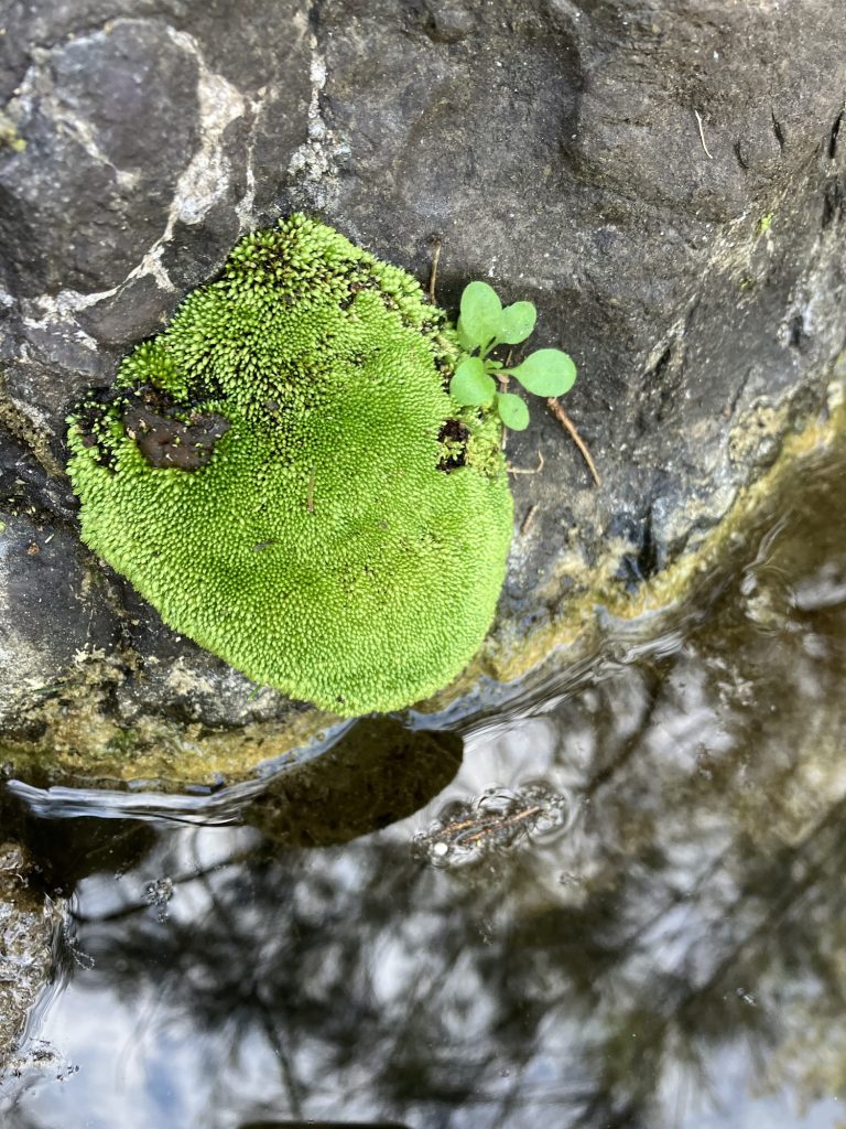 Wondering textures and lights